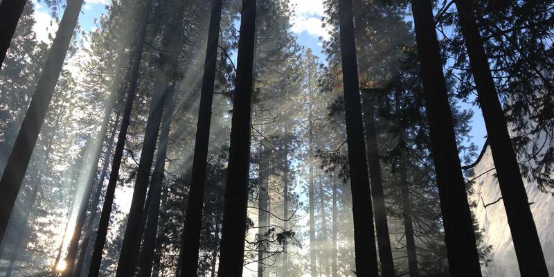 北京新华汇丰基金：多层次风险控制体系如何守护您的资产管理与财富未来