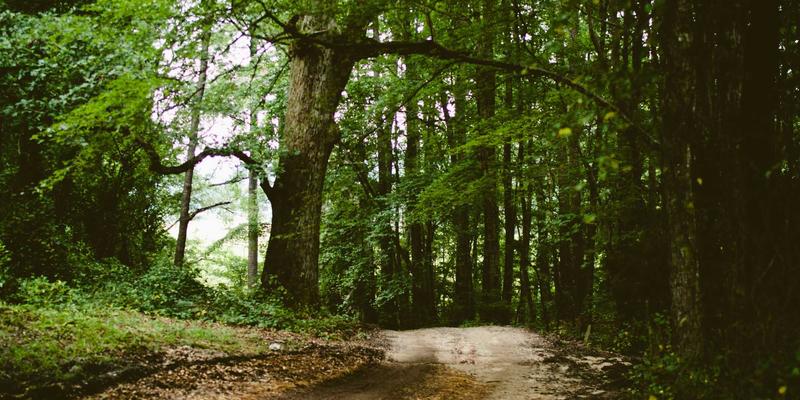 北京财富管理新选择：新华汇丰入门指南与核心优势解析