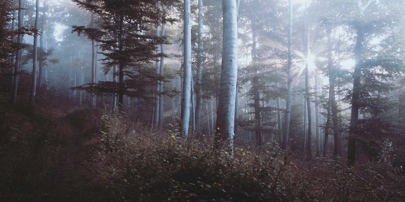 新华汇丰11：专业理财与资产管理的金融服务新视角