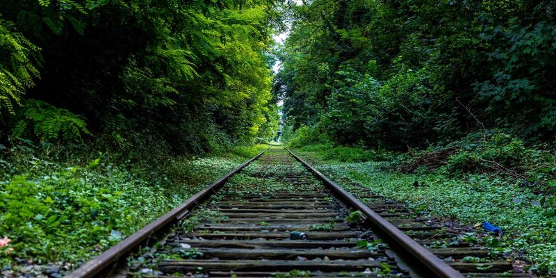 新华汇丰20：专业投资与资产管理，引领金融服务新篇章