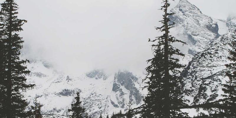 新华汇丰89：专业投资与资产管理的金融服务新标杆