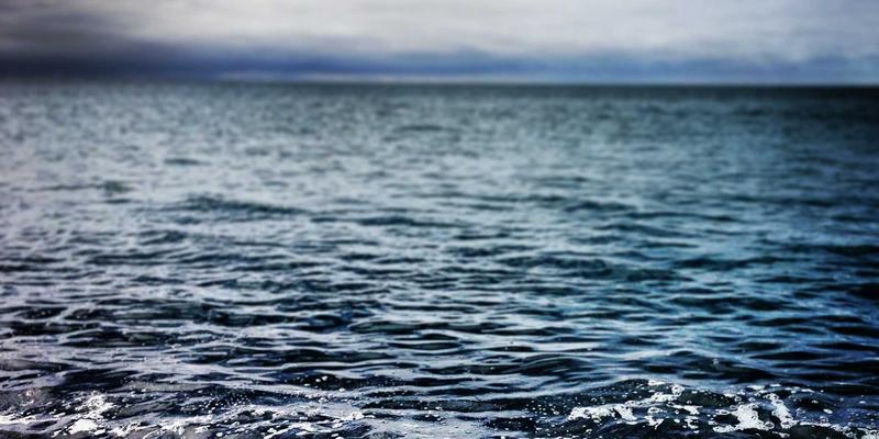 新华汇丰ESG投资实践：金融服务如何将环境、社会与治理因素融入财富管理决策