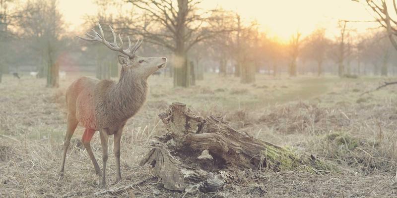 新华汇丰北京财富管理：助中小企业主实现企业资产与家庭财富的科学隔离与协同增值