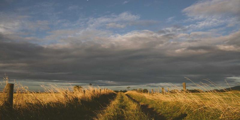 新华汇丰基金：北京金融服务机构如何通过科学资产配置穿越经济周期