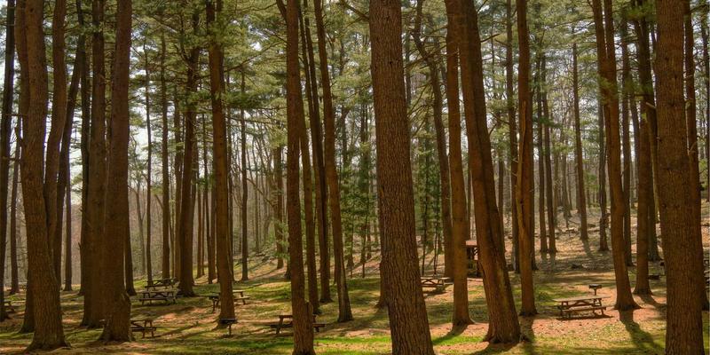 新华汇丰基金客户服务体系深度解析：数字化工具与专属顾问如何重塑投资体验