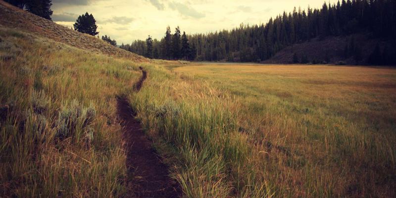 新华汇丰基金：立足北京，解码消费升级赛道的细分投资逻辑