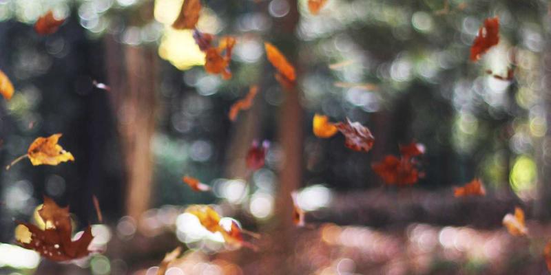 新华汇丰基金：长期主义与深度研究如何重塑财富管理新范式