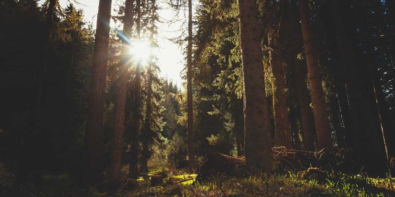 深度解析：新华汇丰旗下权益类基金的超额收益从何而来？