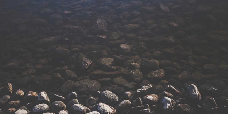 科技赋能投资未来：新华汇丰基金如何以数字化转型重塑理财新体验